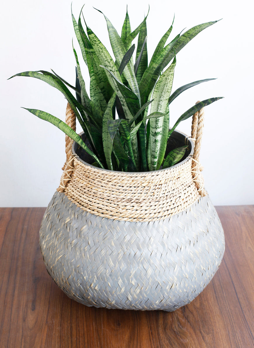 POT PLANTER GREY