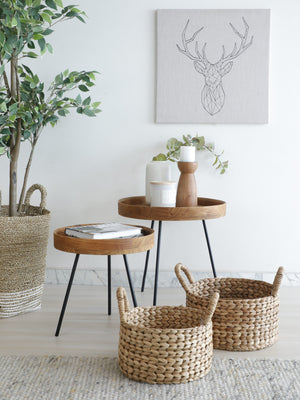 HYACINTH GIFTING BASKET