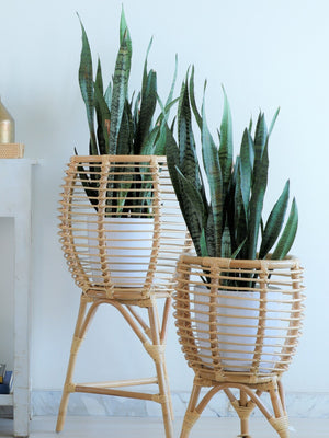 RATTAN PLANTER WITH STAND